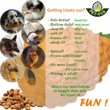 Load image into Gallery viewer, Pineapple Enrichment Toy for Chewers (Pet-Fun classical with size variations)