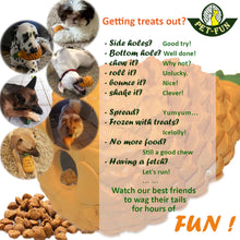 Load image into Gallery viewer, Pineapple Small Twin Pack