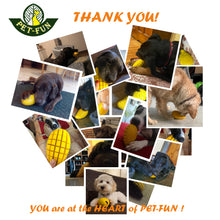 Load image into Gallery viewer, Mango Boredom Slow Feeder Dog Chew Toy (size variations)