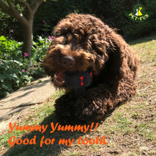 Load image into Gallery viewer, Dumbbell (Hex) Enrichment Treat Dispenser Dog Toy (size variations)