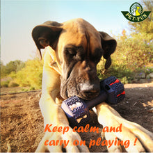 Load image into Gallery viewer, Dumbbell (Hex) Enrichment Treat Dispenser Dog Toy (size variations)