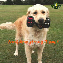 Load image into Gallery viewer, Dumbbell (Hex) Enrichment Treat Dispenser Dog Toy (size variations)