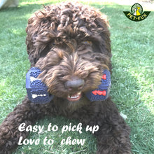 Load image into Gallery viewer, Dumbbell (Hex) Enrichment Treat Dispenser Dog Toy (size variations)