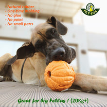 Load image into Gallery viewer, Pomelo Bouncy Ball Treat Dispenser Dog Toy (size&color variations)