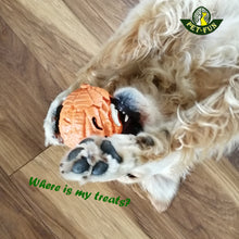 Load image into Gallery viewer, Pomelo Bouncy Ball Treat Dispenser Dog Toy (size&color variations)