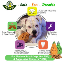 Load image into Gallery viewer, Pineapple Medium Twin-pack