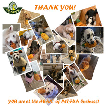 Load image into Gallery viewer, Pineapple Medium Twin-pack