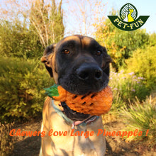 Load image into Gallery viewer, Pineapple Enrichment Toy for Chewers (Pet-Fun classical with size variations)