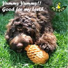 Load image into Gallery viewer, Pineapple Enrichment Toy for Chewers (Pet-Fun classical with size variations)