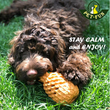 Load image into Gallery viewer, Pineapple Medium Twin-pack