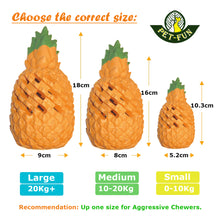 Load image into Gallery viewer, Pineapple Medium Twin-pack