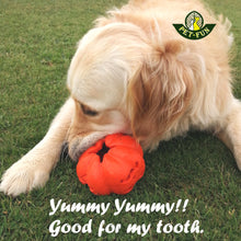 Load image into Gallery viewer, Pumpkin Chew Toy and Treat Dispenser, good for tooth cleaning