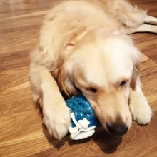 Load image into Gallery viewer, Acorn Tough &amp; Strong Slow Feeder Dog Chew Toy (size variations)
