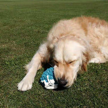 Load image into Gallery viewer, Acorn Tough &amp; Strong Slow Feeder Dog Chew Toy (size variations)
