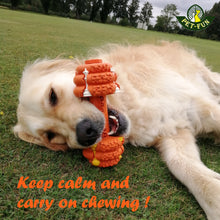 Load image into Gallery viewer, Dumbbell (Round) Enrichment Treat Dispenser Dog Toy (size variations)
