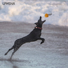 Load image into Gallery viewer, Durian Erratic Rope Ball (size variations)
