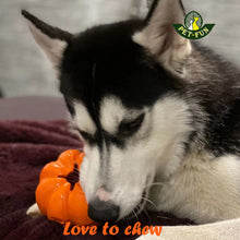Load image into Gallery viewer, Pumpkin Chew Toy and Treat Dispenser, good for tooth cleaning
