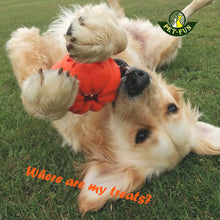 Load image into Gallery viewer, Pumpkin Chew Toy and Treat Dispenser, good for tooth cleaning
